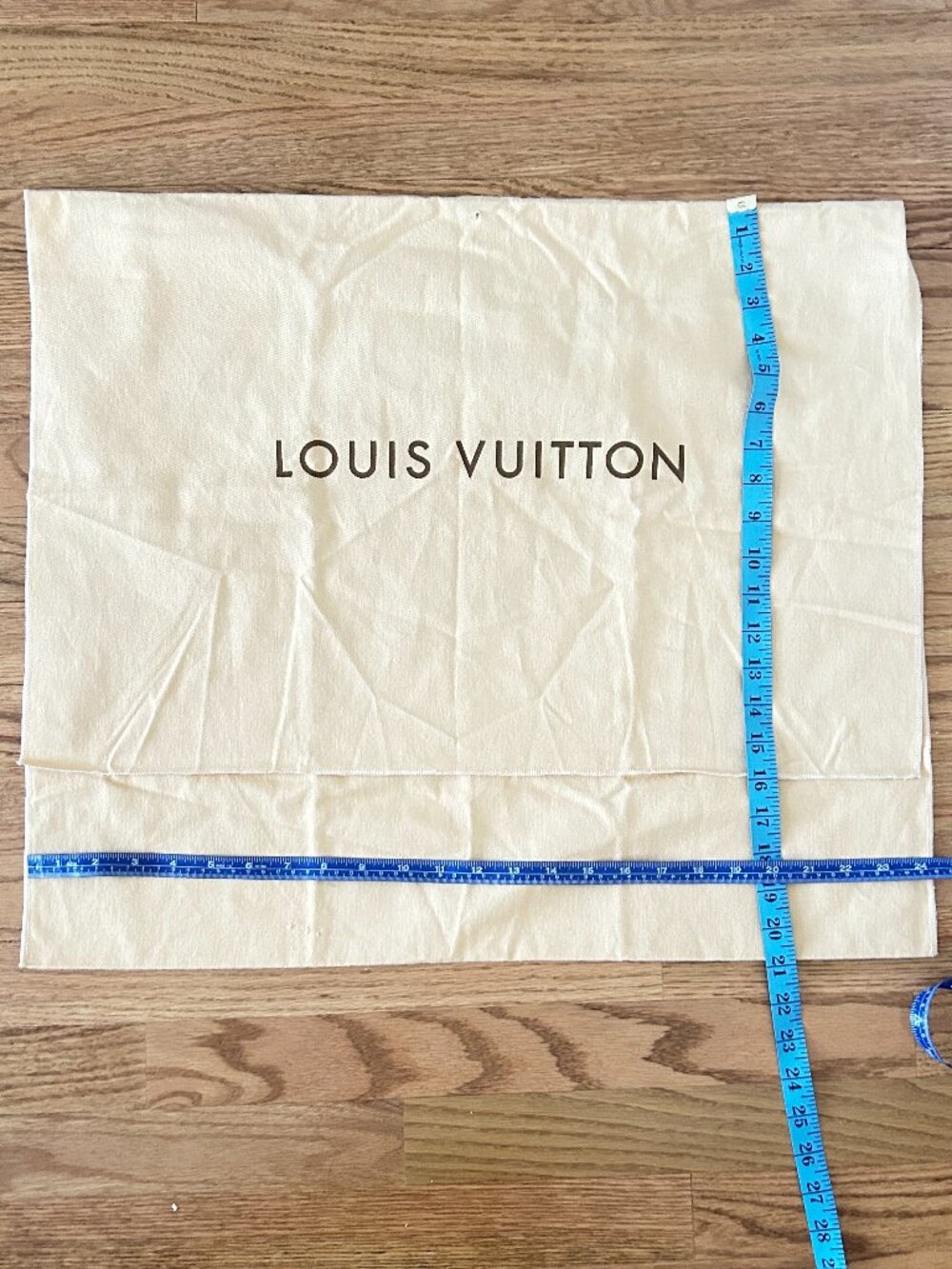 Louis Vuitton | Garment Cover Bag with ( 3 ) LV Hangers - Picture 16 of 16